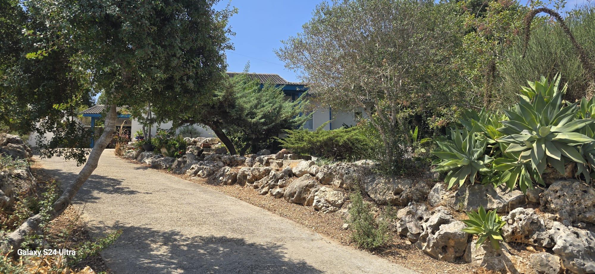 תמרת, 