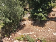 קרית טבעון