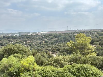 6b5b1cad-042e-46f1-9f95-f2d2c4a9622e.jpegמומלץ