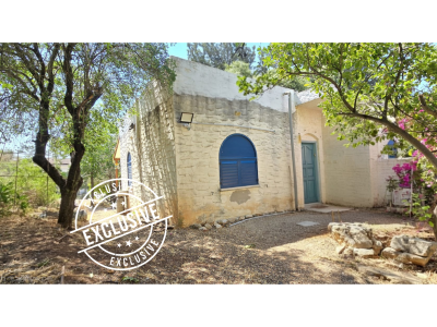 עיצוב ללא שם (1).pngאשכנזי